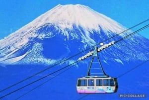 Fra Tokyo/Hakone/Fuji: Hakone & Mt. Fuji dagstur med afhentning