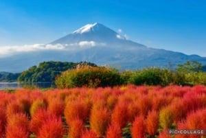 Fra Tokyo/Hakone/Fuji: Hakone & Mt. Fuji dagstur med afhentning