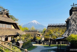 Depuis Tokyo/Hakone/Fuji : Excursion d'une journée à Hakone et au Mont Fuji avec prise en charge