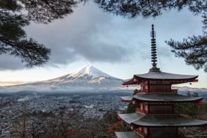 Tokyo: Tour turistico privato del Monte Fuji e di Hakone