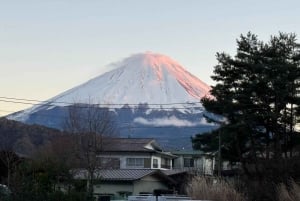 Tokyo: Tour turistico privato del Monte Fuji e di Hakone