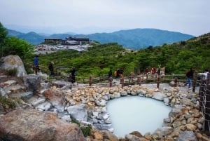 Tokyo: Tour turistico privato del Monte Fuji e di Hakone