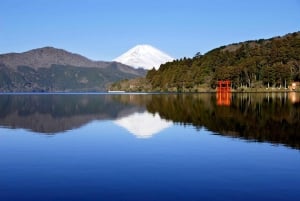 Tokyo: Tour turistico privato del Monte Fuji e di Hakone