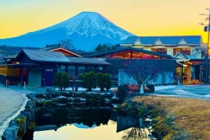 Tokyo: Tour turistico privato del Monte Fuji e di Hakone