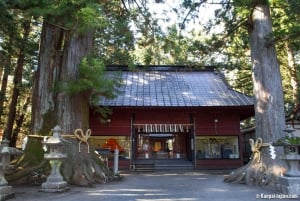 Tokyo: Tour turistico privato del Monte Fuji e di Hakone