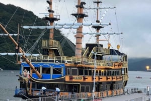 Tokyo: Tour turistico privato del Monte Fuji e di Hakone