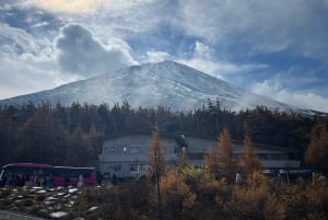 Tokyo: Tour turistico privato del Monte Fuji e di Hakone