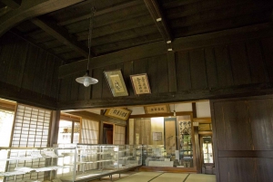 Tokyo: Tour turistico privato del Monte Fuji e di Hakone