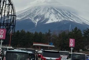 Tokyo: Tour turistico privato del Monte Fuji e di Hakone