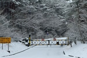 Tokyo: Tour turistico privato del Monte Fuji e di Hakone