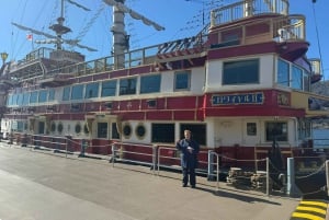 Tokyo: Tour turistico privato del Monte Fuji e di Hakone