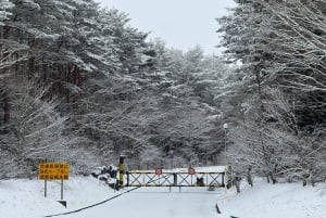 Tokyo: Tour turistico privato del Monte Fuji e di Hakone