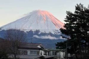 Tokyo: Tour turistico privato del Monte Fuji e di Hakone
