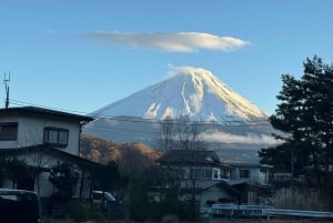 Tokyo: Tour turistico privato del Monte Fuji e di Hakone