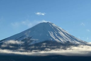 Tokyo: Tour turistico privato del Monte Fuji e di Hakone