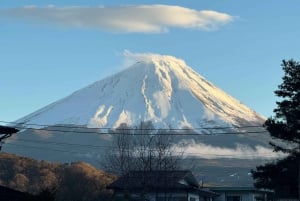 Tokyo: Tour turistico privato del Monte Fuji e di Hakone