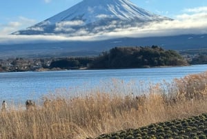 Tokyo: Tour turistico privato del Monte Fuji e di Hakone