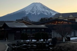 Tokyo: Tour turistico privato del Monte Fuji e di Hakone