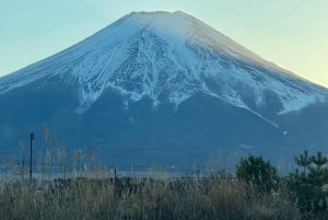 Tokyo: Tour turistico privato del Monte Fuji e di Hakone