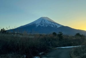 Tokyo: Tour turistico privato del Monte Fuji e di Hakone