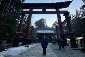 Tokyo: Tour turistico privato del Monte Fuji e di Hakone