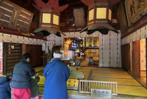 Tokyo: Tour turistico privato del Monte Fuji e di Hakone