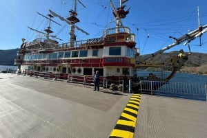 Tokyo: Tour turistico privato del Monte Fuji e di Hakone