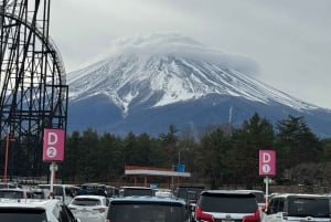 Tokyo: Tour turistico privato del Monte Fuji e di Hakone