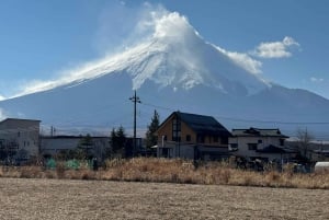 Tokyo: Tour turistico privato del Monte Fuji e di Hakone
