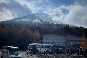 Tokyo: Tour turistico privato del Monte Fuji e di Hakone