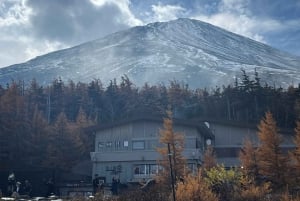 Tokyo: Tour turistico privato del Monte Fuji e di Hakone