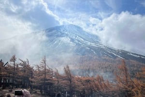 Tokyo: Tour turistico privato del Monte Fuji e di Hakone