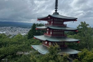 Tokyo: Tour turistico privato del Monte Fuji e di Hakone