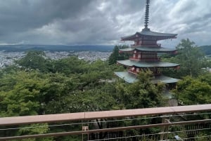 Tokyo: Tour turistico privato del Monte Fuji e di Hakone