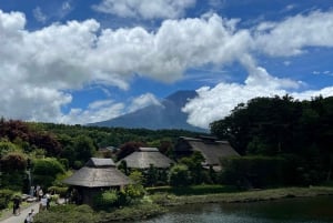Tokyo: Tour turistico privato del Monte Fuji e di Hakone