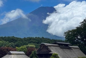 Tokyo: Tour turistico privato del Monte Fuji e di Hakone