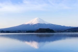 Tokyo: Instagram-Worthy Mt Fuji & Lake Kawaguchiko Day Trip