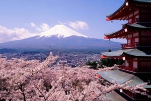 Tokyo: Instagram-Worthy Mt Fuji & Lake Kawaguchiko Day Trip