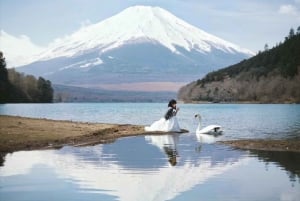 Tokyo: Instagram-Worthy Mt Fuji & Lake Kawaguchiko Day Trip