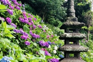 From Tokyo: Kamakura and Enoshima 1-Day Bus Tour