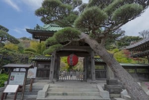 From Tokyo: Kamakura and Enoshima 1-Day Bus Tour