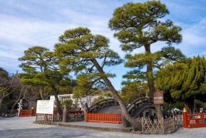 Depuis Tokyo : Visite en bus d'une journée à Kamakura et Enoshima
