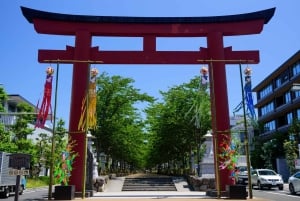 Depuis Tokyo : Visite en bus d'une journée à Kamakura et Enoshima