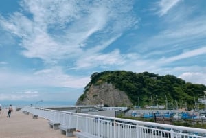 Depuis Tokyo : Visite en bus d'une journée à Kamakura et Enoshima