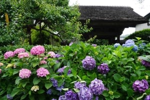 Depuis Tokyo : Visite en bus d'une journée à Kamakura et Enoshima