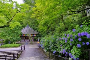 Depuis Tokyo : Visite en bus d'une journée à Kamakura et Enoshima