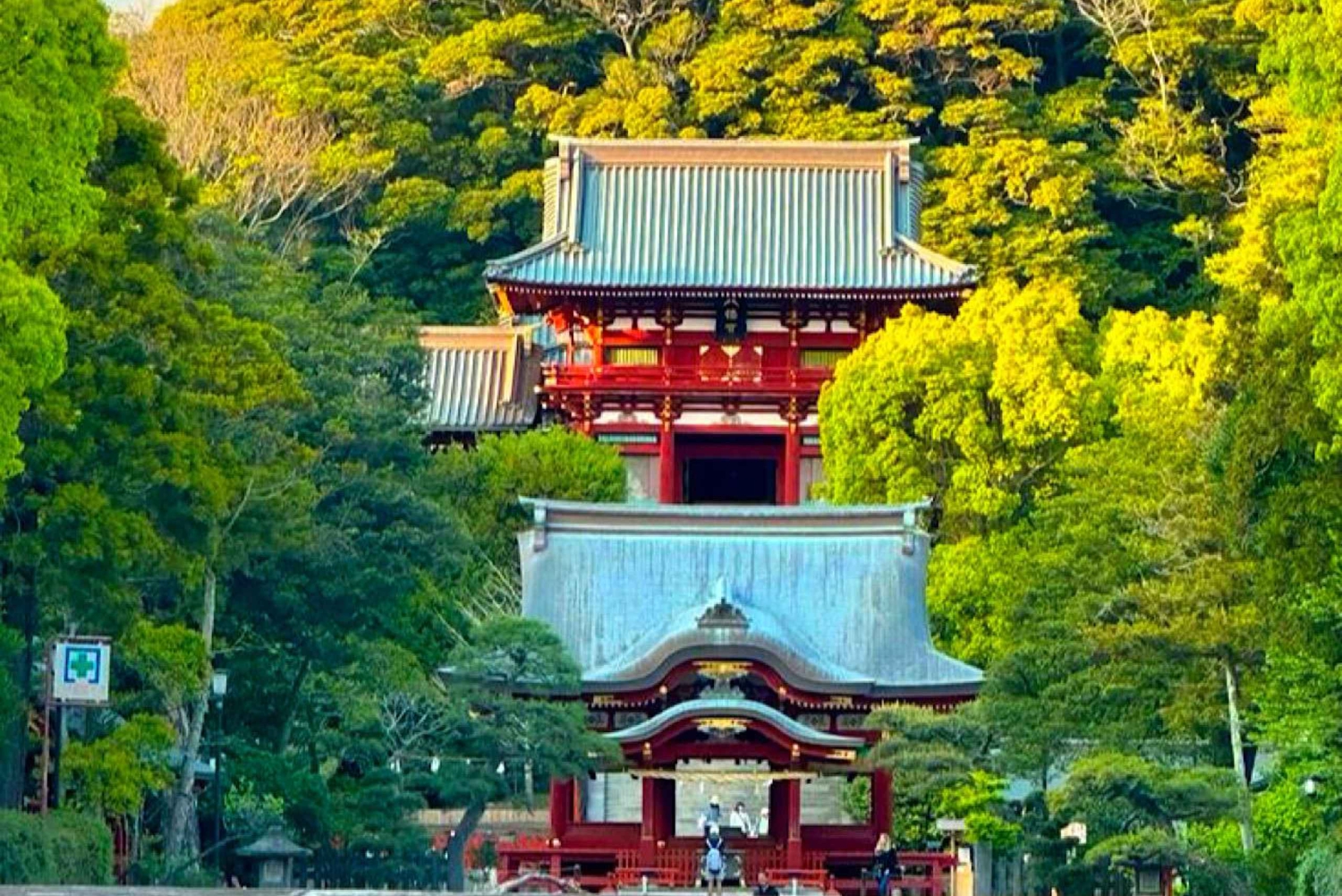 東京発：鎌倉・江ノ島1日プライベートツアー