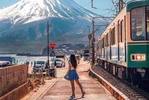 Från Tokyo: Kamakura och Enoshima Hel dagsutflykt privat