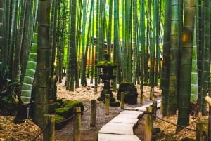 Från Tokyo: Kamakura och Enoshima Hel dagsutflykt privat