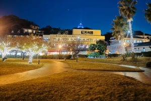 Från Tokyo: Kamakura och Enoshima Hel dagsutflykt privat